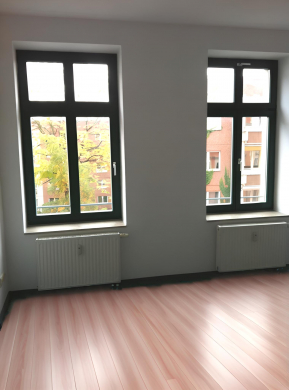 Charmante Wohnung mit separater Küche und guter Raumaufteilung, 04315 Leipzig, Etagenwohnung